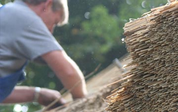 professional Tudweiliog thatchers